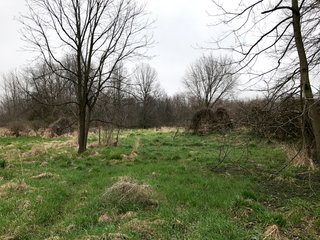 Property photo 14 - LAND AUCTION - 156.63+/- ACRES OFFERED IN 7 TRACTS IN ALLEN COUNTY, INDIANA